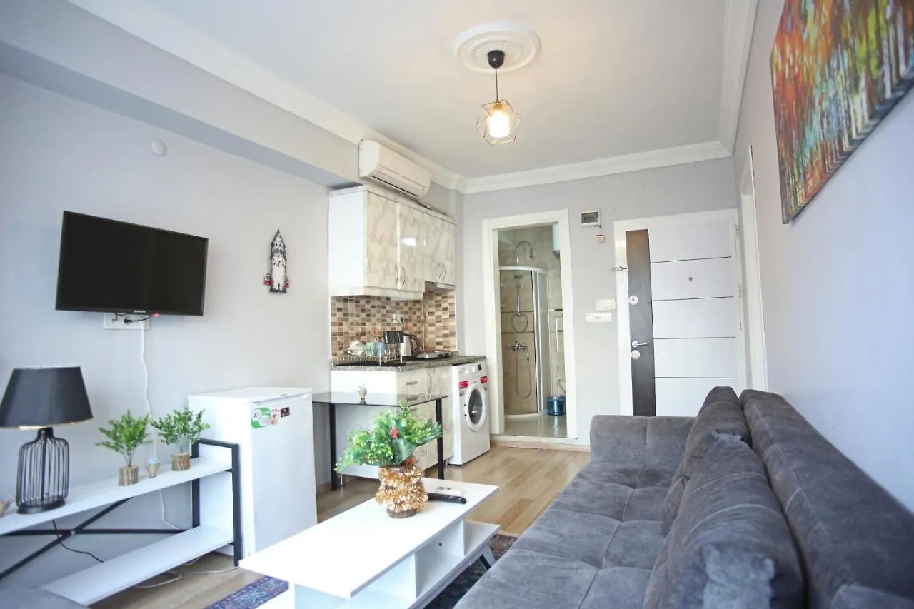 Aras Suites Istanbul Turkey