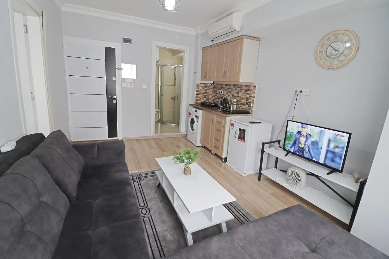 Aras Suites Istanbul Apartment