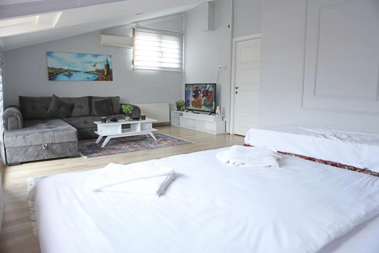 Aras Suites Istanbul Apartment