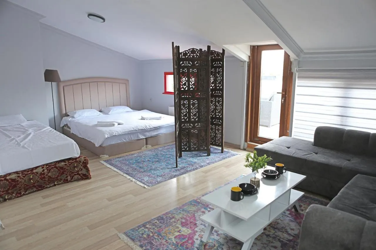 Aras Suites Istanbul Apartment