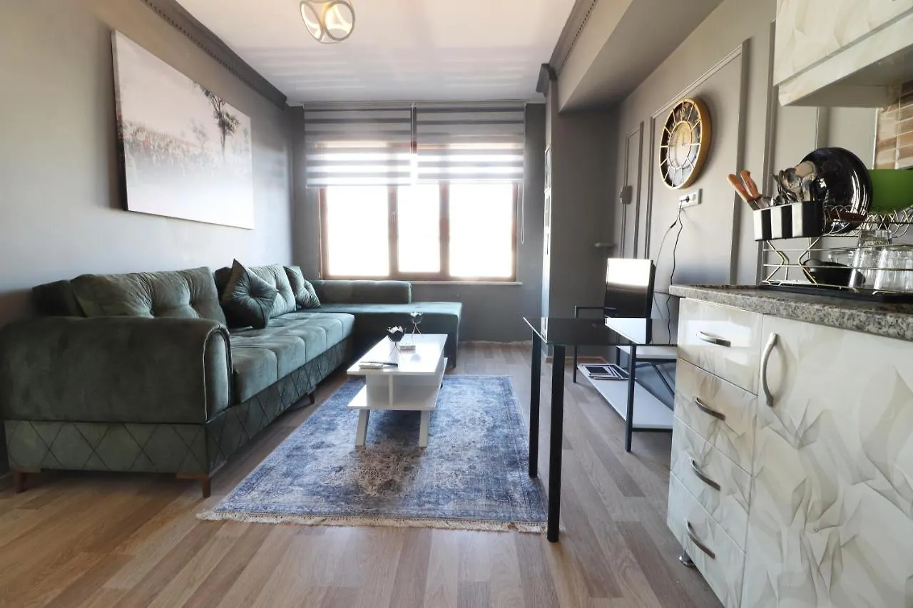 Apartment Aras Suites Istanbul